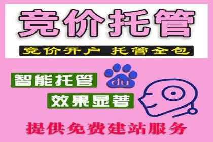 SEM竞价代运营公司成功案例：如何提升广告转化率